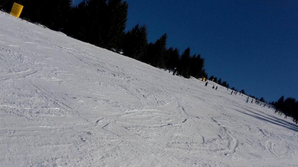 Apartment Sofi Yeti Kopaonik Bagian luar foto