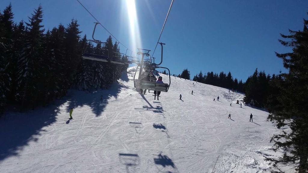 Apartment Sofi Yeti Kopaonik Bagian luar foto