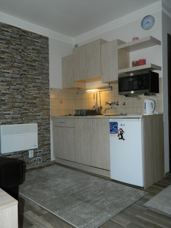 Apartment Sofi Yeti Kopaonik Bagian luar foto