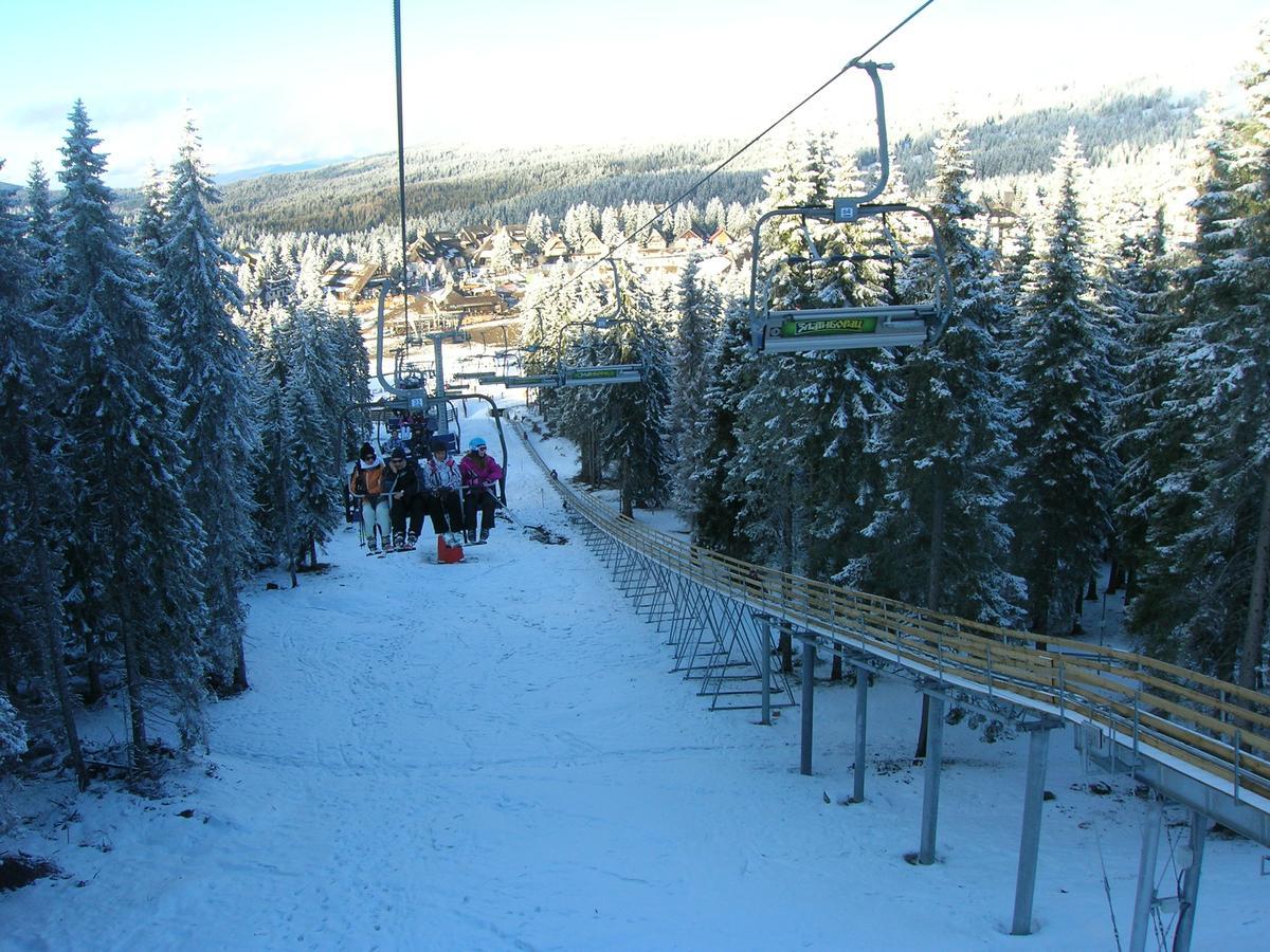 Apartment Sofi Yeti Kopaonik Bagian luar foto